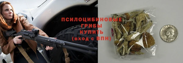 прущие грибы Арсеньев