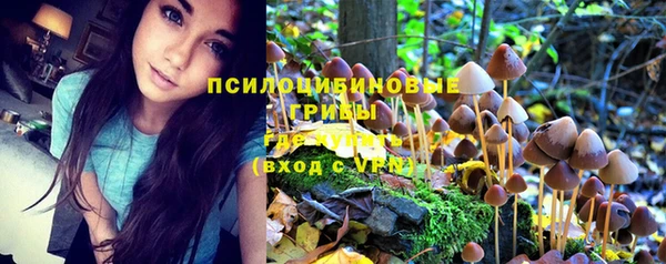 Альфа ПВП Армянск